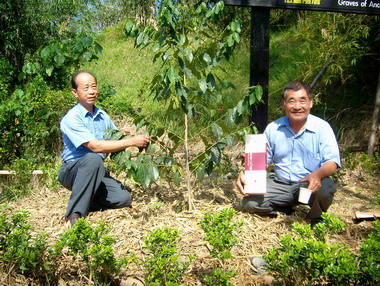 喝咖啡不用到古坑 草屯「加老山咖啡」上市(圖)