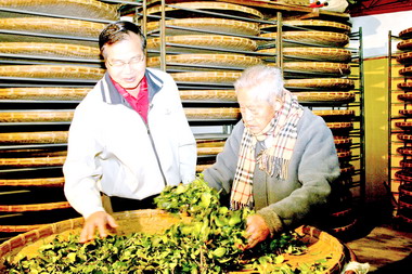 茶香健康節推人瑞養生之道(圖)