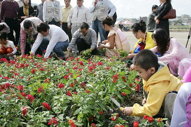 千人萬樹綠妝秋意美化臺北縣(圖)