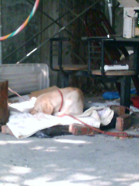 捐助新台幣8萬元給財團法人花蓮縣文化基金會(圖)