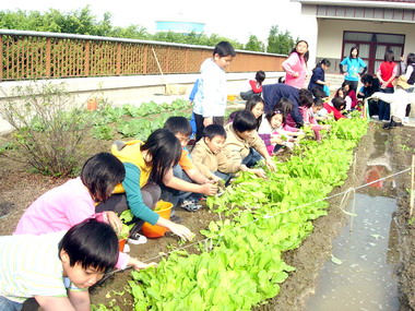 健民國小學習農民種植蔬菜(圖)