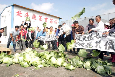 蔬菜價格不穩   農民辛酸(圖)