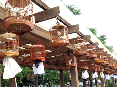 大里環保公園有著天籟之音(圖)