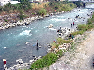 水里祈安清醮解禁垂釣成奇觀(圖)