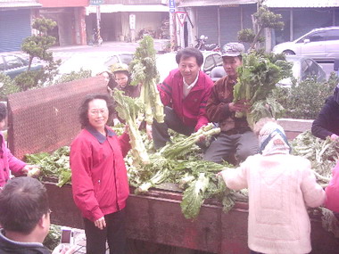 蔡麗娟購買一整車菜心助菜農好過年(圖)