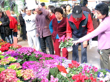 因應春節到來花市湧入人潮(圖)