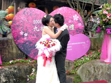 ３８對櫻花婚禮於九族完婚(圖)