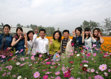 「2008花花美濃‧客來思樂」(圖)