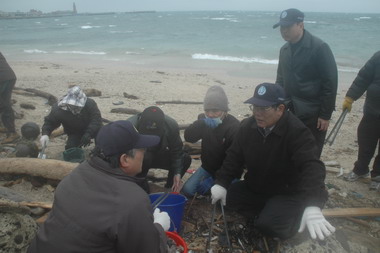 澎湖縣長率領縣府員工 帶頭清理海岸魚屍(圖)