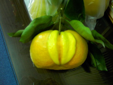 一顆年柑形狀很奇特像器官？像其他東西？(圖)