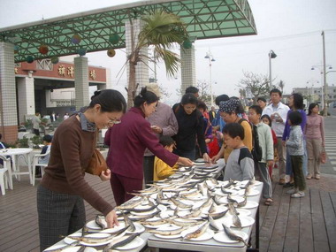 春節旗津遊吃魚慶有餘(圖)