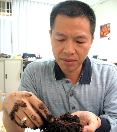 蔡金明將菜葉垃圾轉化成有機肥(圖)