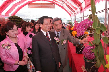 2008全國春季蘭花名花大展(圖)