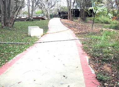 公園散步跌成跛腳？(圖)