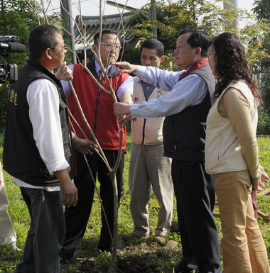 國道交流道邊坡綠帶 遍植苗木(圖)