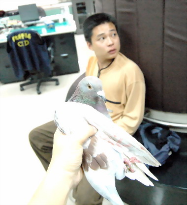 彰化警方偵破網鴿勒贖案(圖)