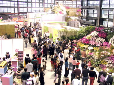 2008台灣國際蘭展台南後壁繽紛豋場(圖)
