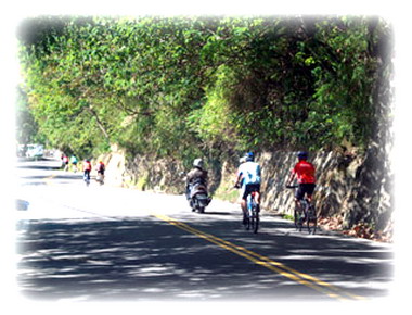 桐遊花自行車活動報名至２３日(圖)