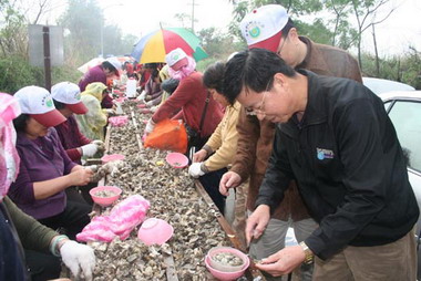 金寧鄉公所九十七年石蚵文化節(圖)