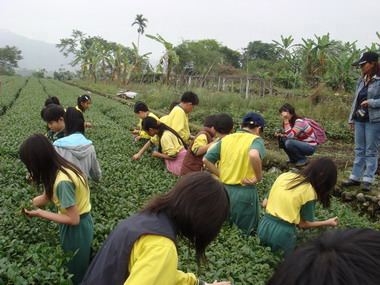 台中市大鵬國小戶外教學前進小半天(圖)