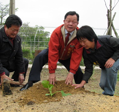 2008苗栗造橋---南瓜產業文化博覽會(圖)