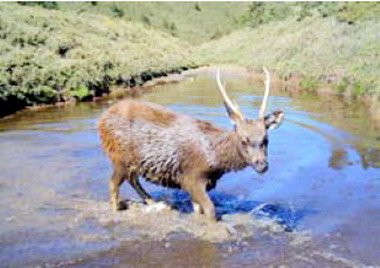 玉管處舉辦保育成果發表座談會(圖)