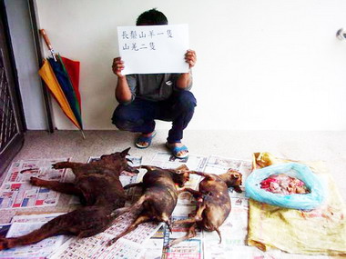 玉管處協助玉警隊鑑定非法盜獵之野生動物(圖)