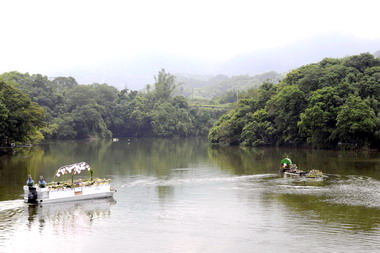 5月3日桐花婚禮馬英九見證(圖)