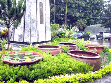 新竹水源國小成為唯一綠野森林小學(圖)