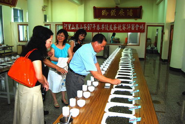 97年阿里山高山春季優良茶競賽成績出爐(圖)