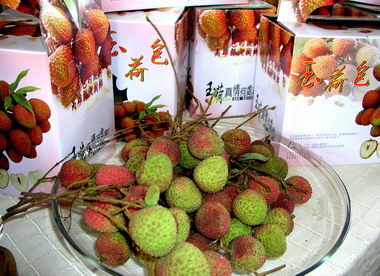 一年一度玉荷包荔枝產季歡迎訂購(圖)