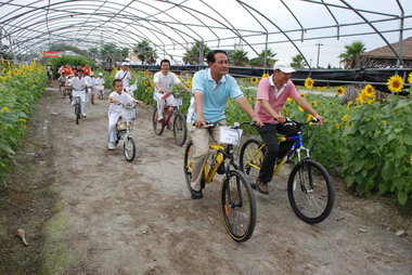 長達1.6公里向日葵花海黃金大道的經驗嗎？(圖)