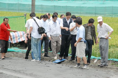 雲林縣西螺、二崙地區農業災情嚴重(圖)