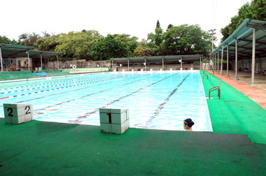 市立體育場門票收入成長10%績效卓越(圖)