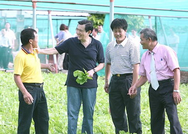大海的孩子勇渡卯澳灣(圖)