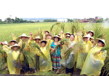 花壇農會舉辦學童種稻體驗活動(圖)