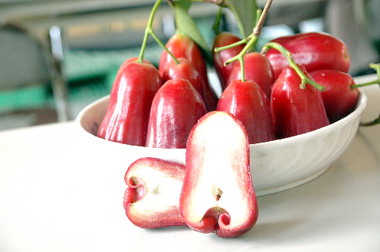 田中種蓮霧成功生產飛彈蓮霧(圖)