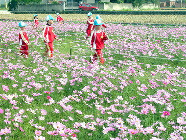 苗栗打造健康花園城市(圖)