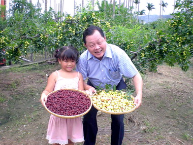 苗栗紅棗季26日「棗」出「玩」歸(圖)