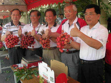 南投縣荔枝、鳳梨節系列活動(圖)