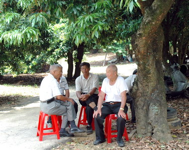 林政則：安老津貼任期內如期發放(圖)