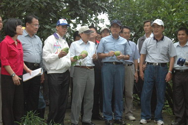 鳳凰颱風來襲造成花蓮地區農民重大的損害(圖)