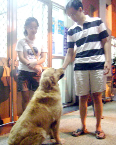 流浪阿福與失主團圓(圖)