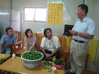 新興作物－扁實檸檬市場初展露(圖)