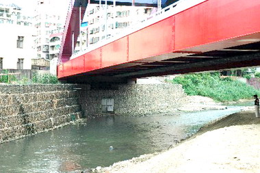 林政則視察34號路彩虹橋下水利環境(圖)