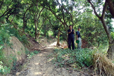 湖濱社區將闢建登山步道(圖)