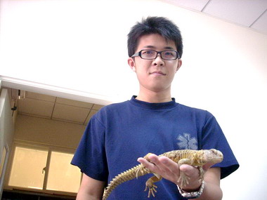 竹南消防分隊捕獲王者蜥(圖)