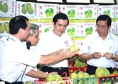 馬英九出席選購國產優質水果活動(圖)