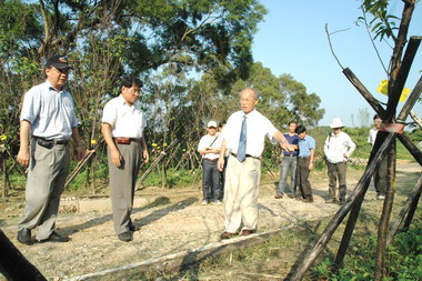 林政則勘查十九公頃青青草原(圖)