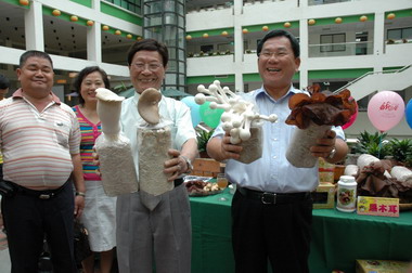 陳明文邀各界分享中埔鄉「菇」文化饗宴(圖)